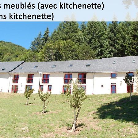 Gite Du Haut Cantal - Appartements Meubles Avec Kitchenette Et Chambres Sans Kitchenette Condat  외부 사진