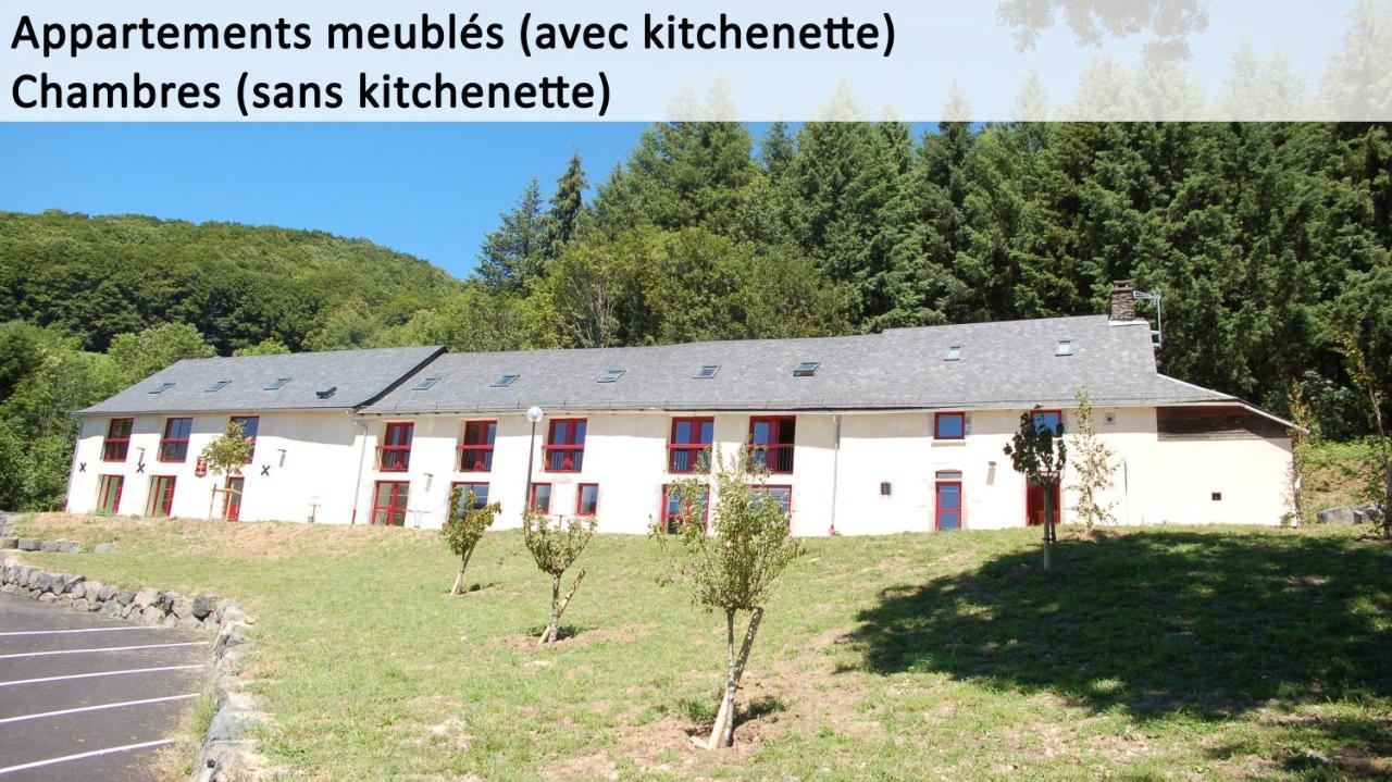Gite Du Haut Cantal - Appartements Meubles Avec Kitchenette Et Chambres Sans Kitchenette Condat  외부 사진